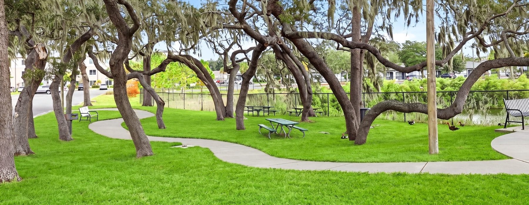 a park with benches