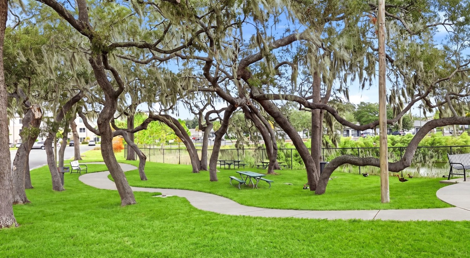 a park with benches